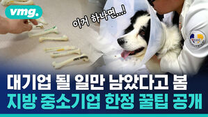 대기업 될 일만 남았다고 봄 지방 중소기업 한정 꿀팁 공개