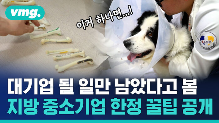 대기업 될 일만 남았다고 봄 지방 중소기업 한정 꿀팁 공개