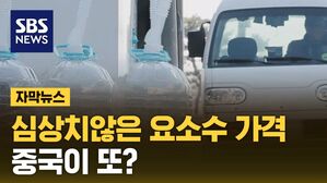 [자막뉴스] 심상치않은 요소수 가격&hellip;2년 전 악몽이 다시?