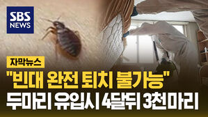 [자막뉴스] "빈대 완전 퇴치 불가능"&hellip;두 마리 유입 시 4달 뒤 3천 마리