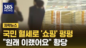 [자막뉴스] 당연히 국민 세금으로?&hellip;맘껏 쇼핑에 유럽 출장까지