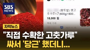[자막뉴스] 마트보다 싸네!&hellip;중고거래 했다간 '큰일'
