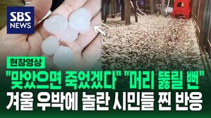 [영상] "이거 맞았으면 죽었겠다" "전쟁 난 줄 알았네"&hellip;부산 뒤덮은 '겨울 우박'에 깜짝 놀란 시민들 찐반응?