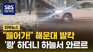 [자막뉴스] "들어가!" 해운대 발칵&hellip;무게 못 이기고 '와르르'