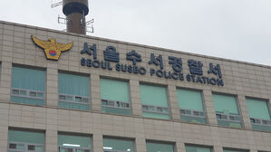 강남 아파트서 흉기 휘두른 80대 남성 자수&hellip;50대 여성 사망