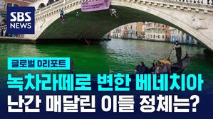 [글로벌D리포트] 녹색 변한 베네치아 명물&hellip;화석연료 두고 힘겨루기?