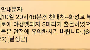 대구 달성군 천내천 부근서 "멧돼지 3마리 출몰" 신고