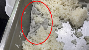 스키장 식당 밥통서 나온 수건&hellip;위생 불량에 이용객 '눈살'