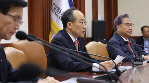 공급망 첫 장관 회의&hellip;"요소 국내 공장 건설 검토"