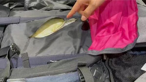 백팩에 7억대 필로폰 숨겨 밀반입&hellip;말레이시아인 징역 7년