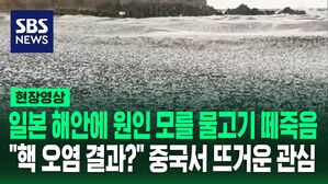 [영상] "처음 본다" 일본 해안 뒤덮은 물고기 사체&hellip;"오염수 방류 때문?" 중국 누리꾼들 의문 제기