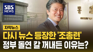 [자막뉴스] 다시 뉴스 등장한 '조총련'&hellip;정부 돌연 칼 꺼내든 이유는?