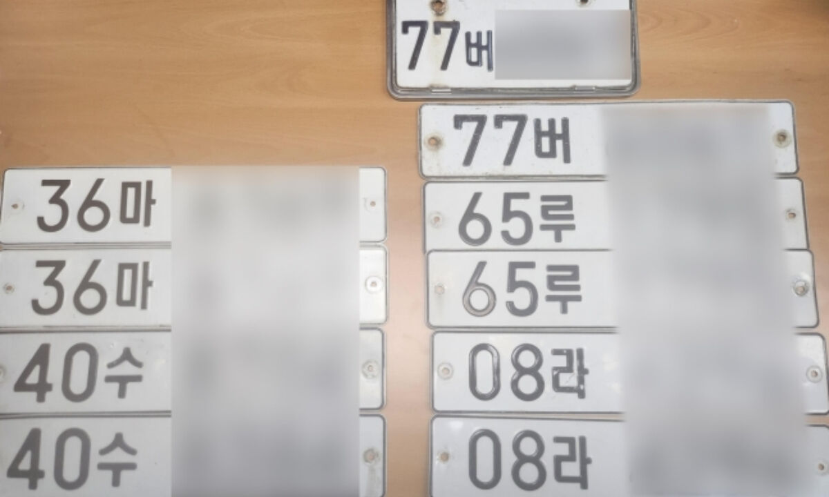 번호판 위조 및 마약 투약한 외국인 일당