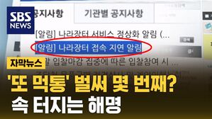 [자막뉴스] 소 잃고 외양간 못 고치나&hellip;답답한 행정전산망
