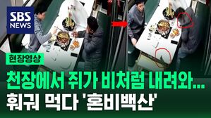 천장에서 쥐가 비처럼 내려와... 훠궈 먹다 '혼비백산'
