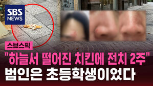 [스브스픽] "하늘서 떨어진 치킨에 전치 2주"&hellip;범인은 초등학생이었다
