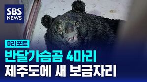 반달가슴곰