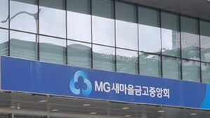 금융당국, 'PF 부실 위험' 새마을금고 상시감시 나선다