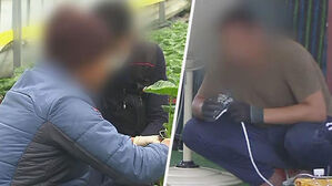 국내 상주 외국인&middot;취업자수 역대 최대&hellip;'제조&middot;농림' 주로 취업