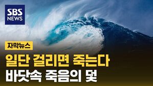 [자막뉴스] 걸리면 죽는다&hellip;바닷속 죽음의 덫