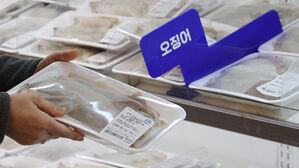 해수부 "원양산 오징어 신속 공급해 수급 불안 해소"