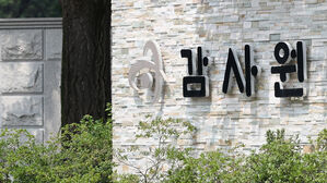 감사원, '이재명 지역화폐' 관리 부실&hellip;경기도 감사 발표