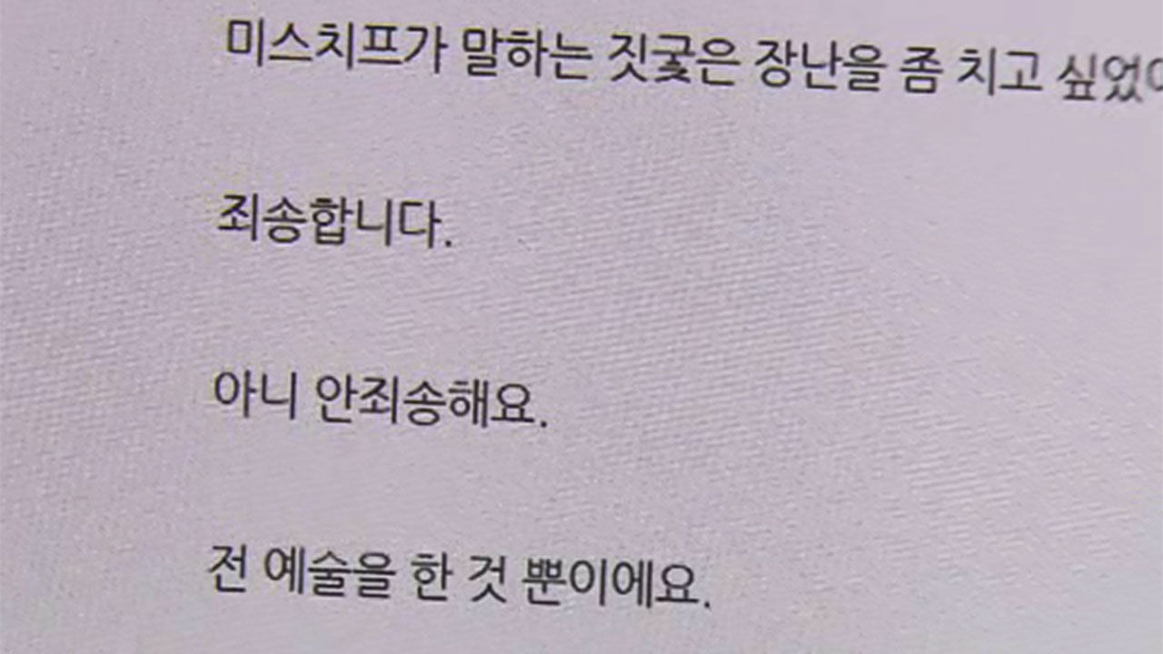 경복궁 담벼락 낙서 모방범죄 피의자가 블로그에 올린 '짓궂은 장난' 글