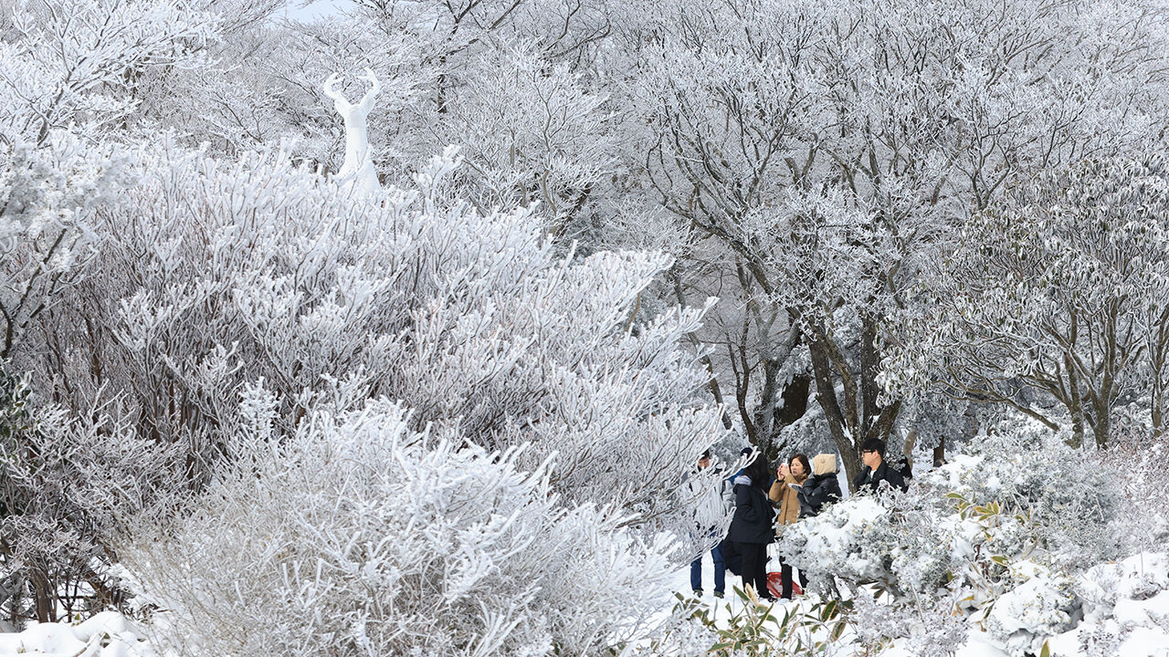 폭설, 한파, 눈, 날씨, 겨울 (사진=연합뉴스)