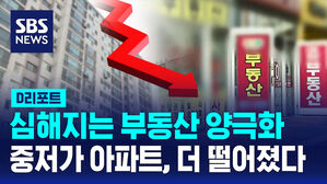 [D리포트] 심해지는 부동산 양극화&hellip;중저가 아파트, 더 떨어졌다