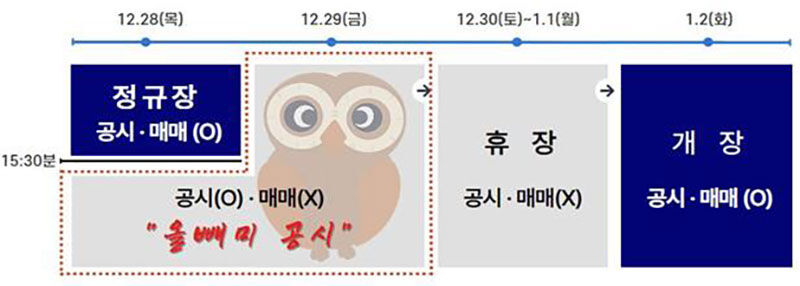 올빼미 공시 유의사항 안내 (사진=금감원 제공, 연합뉴스)