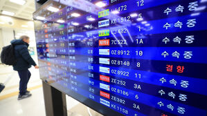 눈보라에 제주공항 항공편 155편 결항