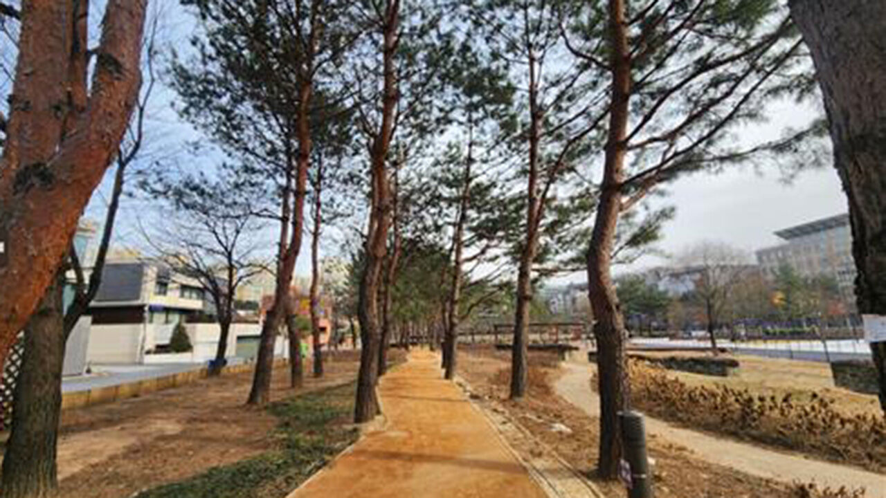 못골아래근린공원 맨발 산책로 
