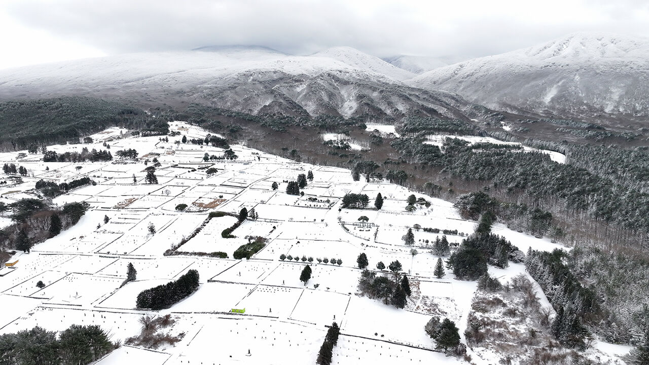 폭설 내린 제주 (사진=연합뉴스)