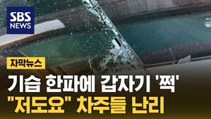 [자막뉴스] 중국 공장서 만든 테슬라, 기습 한파에 갑자기 '쩍'