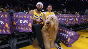 NBA 관중석에 나타난 대형견, 연 수입 19억 원 '부자견'