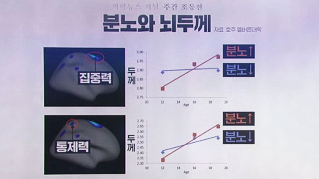 분노와 뇌두께