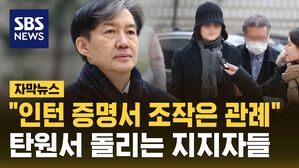 [자막뉴스] "인턴 증명서 조작은 관례&hellip;중형 안 돼" 조국 탄원 논란