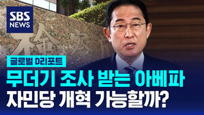 [글로벌D리포트] 아베파 무더기 조사&hellip;"개혁 조직 만들 것"