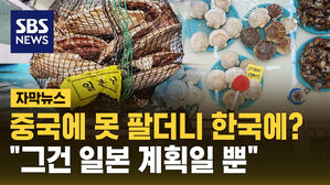 [자막뉴스] 중국에 못 판 가리비를 한국에?&hellip;정부 "그건 일본 계획일 뿐" 일축