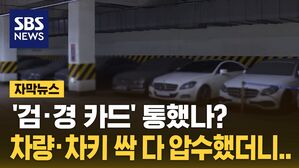 [자막뉴스] "가장 효과적인 방법"&hellip;5개월 간 173대 압수