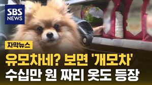 [자막뉴스] 유모차보다 많이 팔린 '개모차'&hellip;달라진 소비