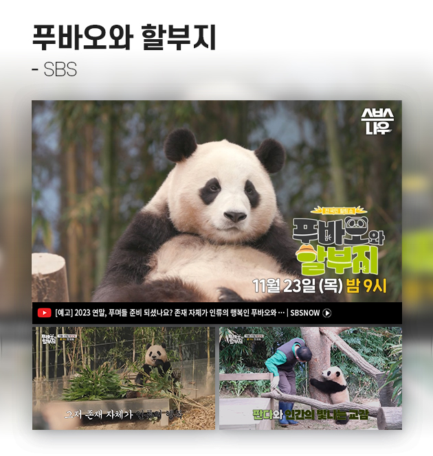 SDF다이어리