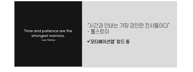 SDF다이어리