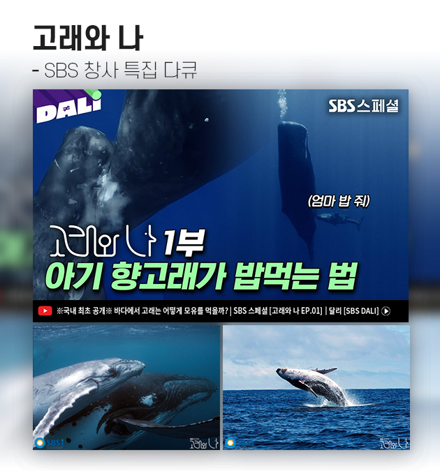 SDF다이어리
