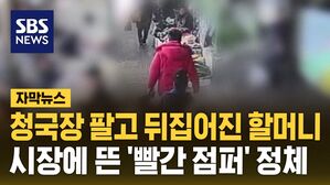 [자막뉴스] 청국장 팔고 뒤집어진 할머니&hellip;시장에 뜬 '빨간 점퍼' 정체