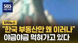 [자막뉴스] "한국 부동산만 왜 이러나"&hellip;야금야금 먹혀가고 있다