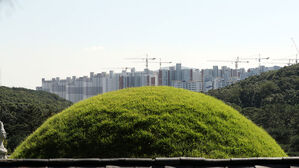 입주 완료 '왕릉뷰 아파트' 건설사, 문화재청 상대 최종 승소