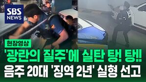 [영상] 실탄 6발에 멈춘 광란의 음주운전&hellip;'징역 2년' 실형 선고