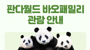 에버랜드 "쌍둥이 판다 루이 &middot; 후이바오 4일부터 일반에 공개"