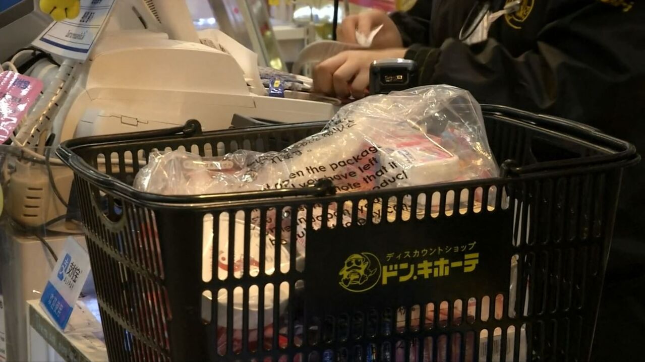스프 교양이를 부탁해
